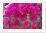 DSC001 (110) * 3008 x 2000 * (1.56MB)